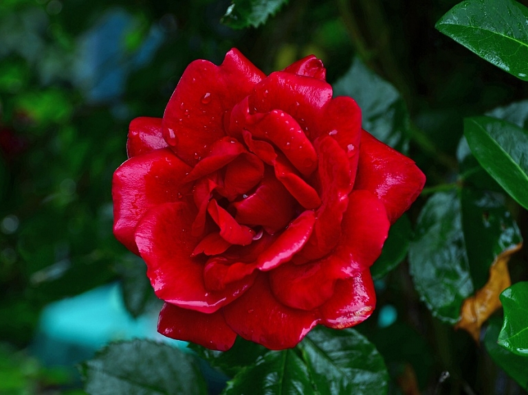 Jūrmalā pasniegs Gada balvas kultūrā

