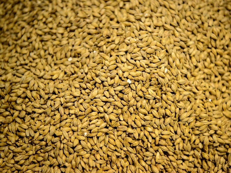 Lielvārdes alus uzsācis sadarbību ar "Latraps" jauna alus radīšanā

