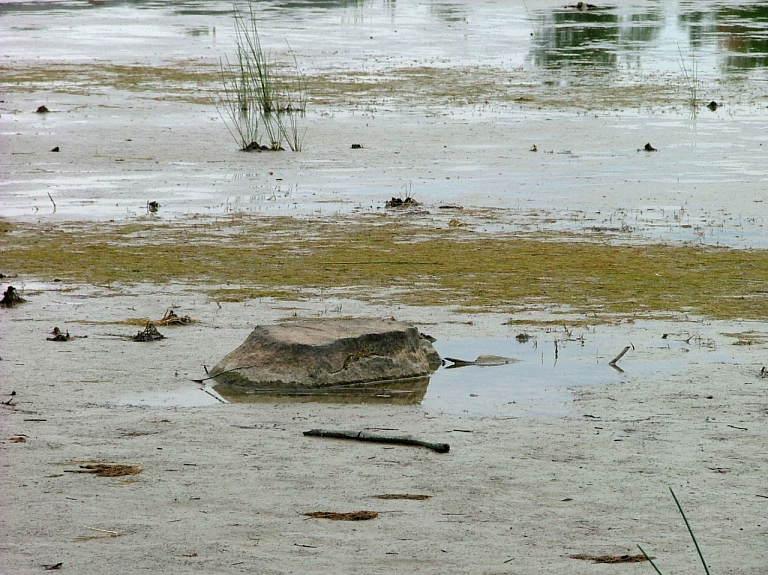 Ādažu novada dome aicina iedzīvotājus nelietot Vējupes ūdeni