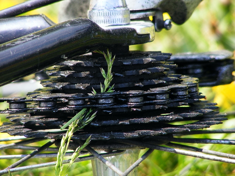 Salacgrīvā negadījumā cietis velosipēdists