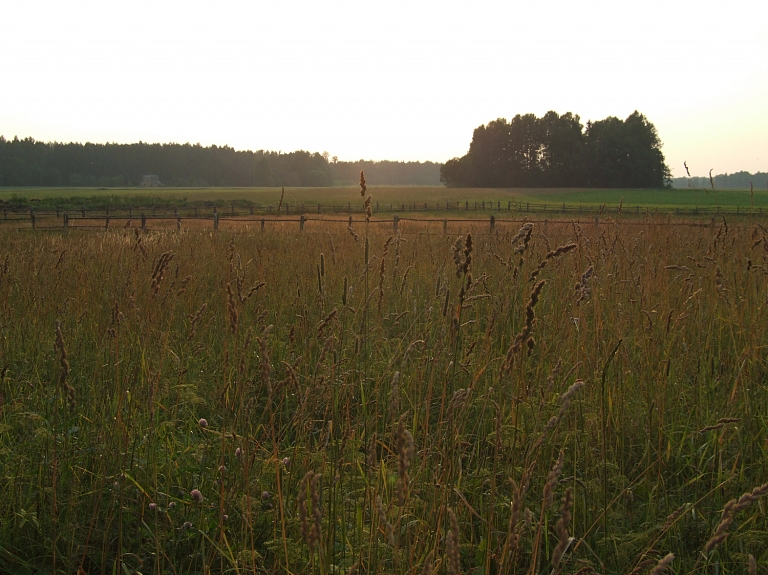 Salacgrīvas pašvaldība tās īpašumā pārņems vairākus novada zemes gabalus

