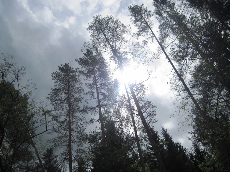 Nakts laikā Latvijā valdījis sals, tikmēr Kurzemē temperatūra ap nulli