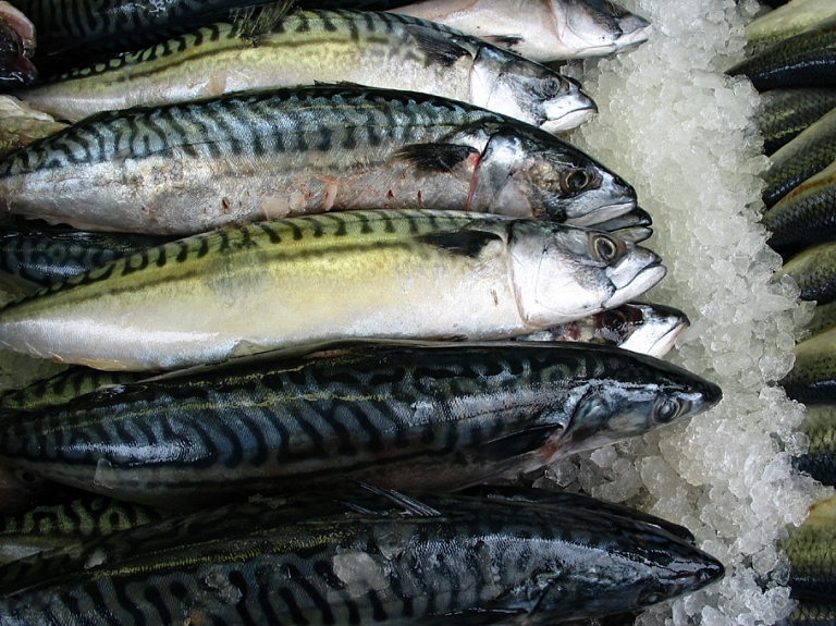 Arī šogad zvejniekiem būs pieejams ES atbalsts zvejas produktu uzglabāšanai

