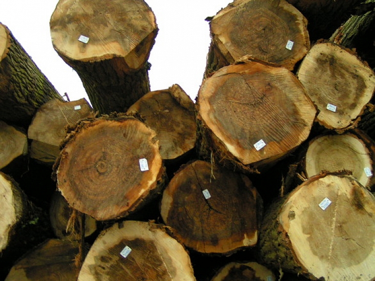 Kokapstrādes uzņēmuma "Waldwood" peļņa pērn samazinājusies gandrīz četras reizes

