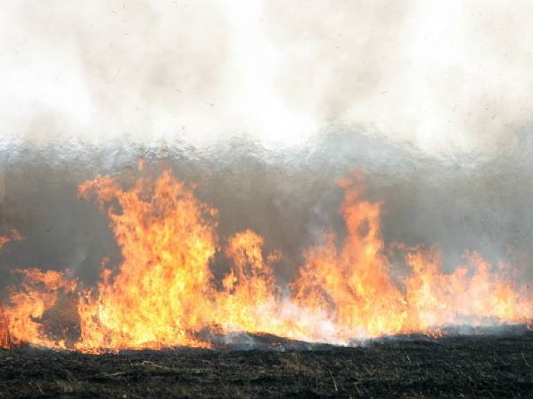 Brīvdienās dzēsti 213 kūlas ugunsgrēki

