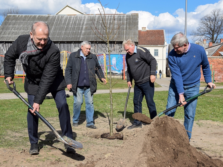 Absolventi Kuldīgai dāvina kokus 