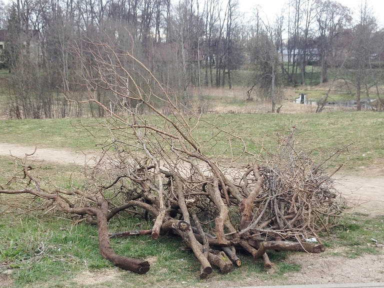 Valmierā turpinās pieteikšanās zaru šķeldošanas akcijai