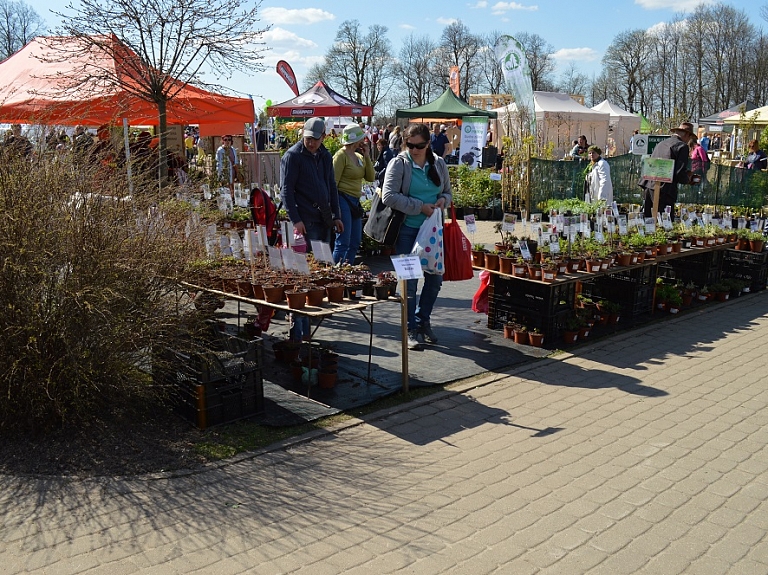 Sigulda uzplaukst Stādu parādē

