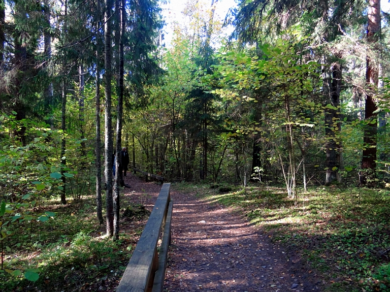 Notiks skriešanas seriāla "Sigulda Up Cup" pirmais posms – serpentīna ceļa skrējiens


