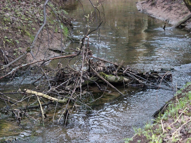 Rīgas dome no Vides aizsardzības fonda līdzekļiem plāno finansēt 24 projektus

