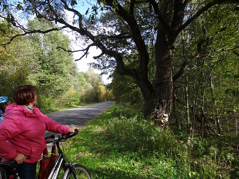 Tūrisma sezonu Jelgavā un apkārtnē atklās ar ekskursijām un velobraucienu

