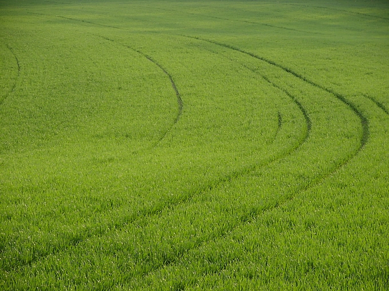 "Zemnieku saeimas" vadītājs: Vasarāju sēja pabeigta gandrīz visos reģionos