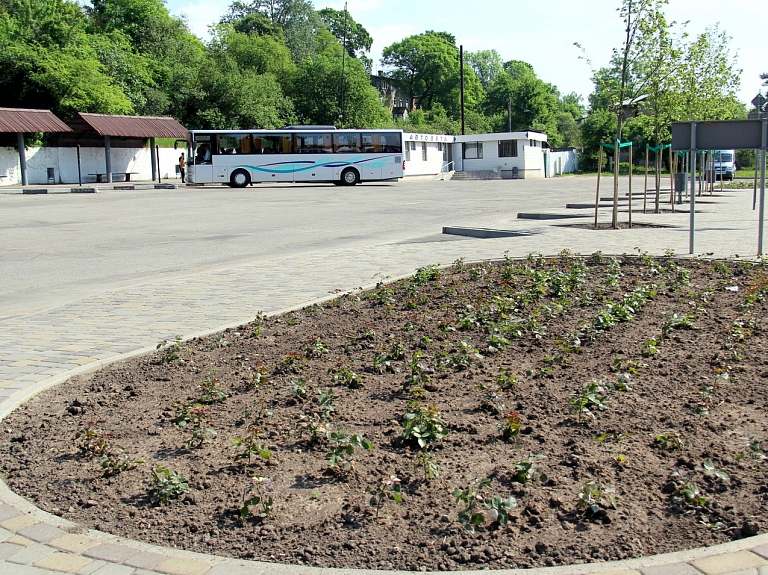 Tukumā par divām rožu dobēm vairāk