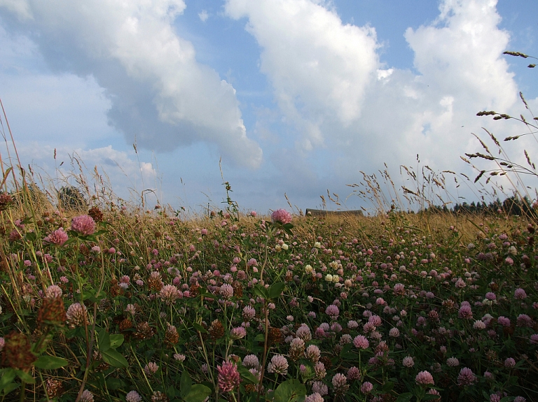 Zemnieku saimniecība "Vītoli" iegādājusies trīs īpašumus

