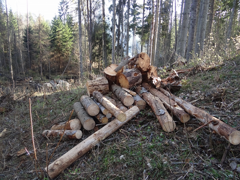 Madonas novada kokapstrādes uzņēmumā "Latvāņi" pērn izveidotas divas jaunas ražošanas līnijas

