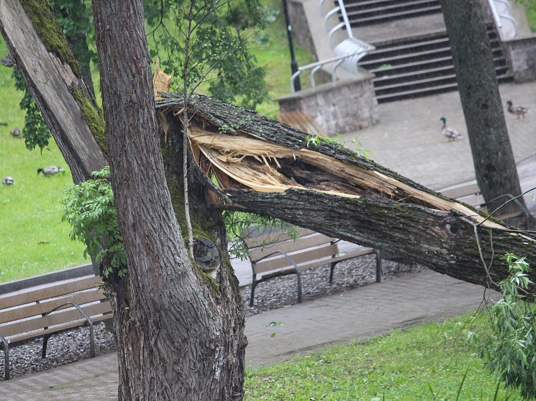 Vēja radītos postījumus Jelgavā likvidēs līdz trešdienai

