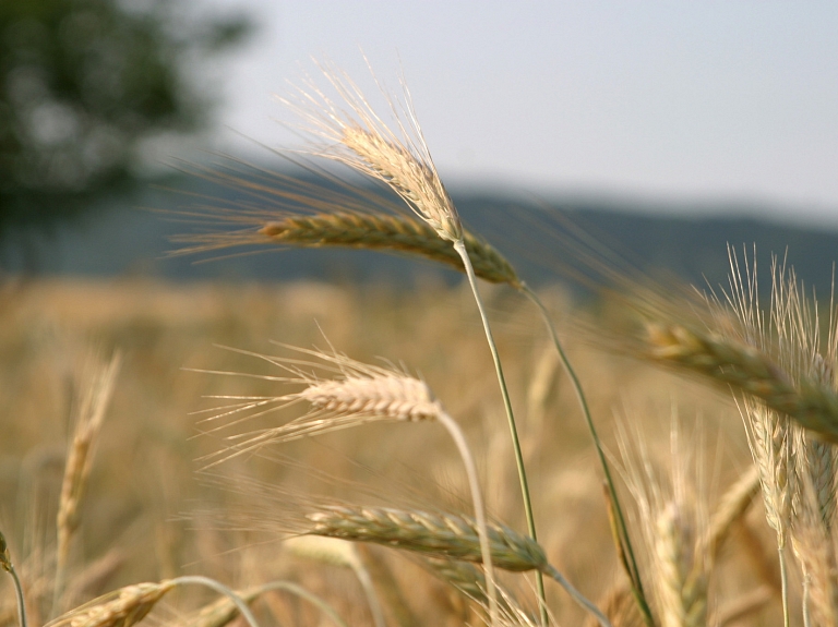 Bijušā Krāslavas rajona lauksaimniecības speciālistu izbraukums

