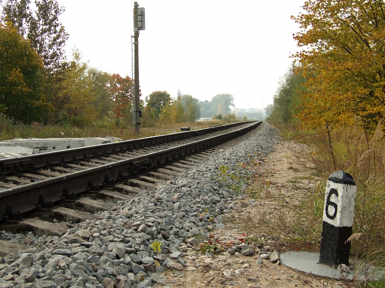 Salacgrīvas novada dome nepiekāpjas un atbalsta tādu "Rail Baltica" novietojumu, kas šķērso aizsargājamās dabas teritorijas

