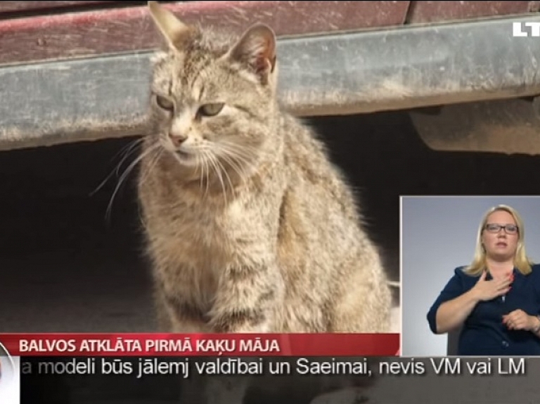 Balvos atklāta pirmā kaķu māja

