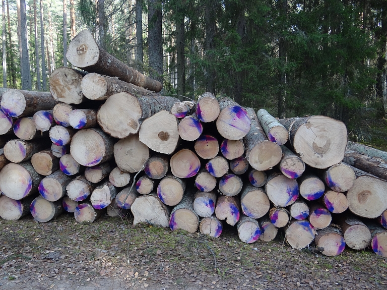 Turpina kristies forvardera un harvestera pakalpojumu sniedzēja "ND Mežs" apgrozījums

