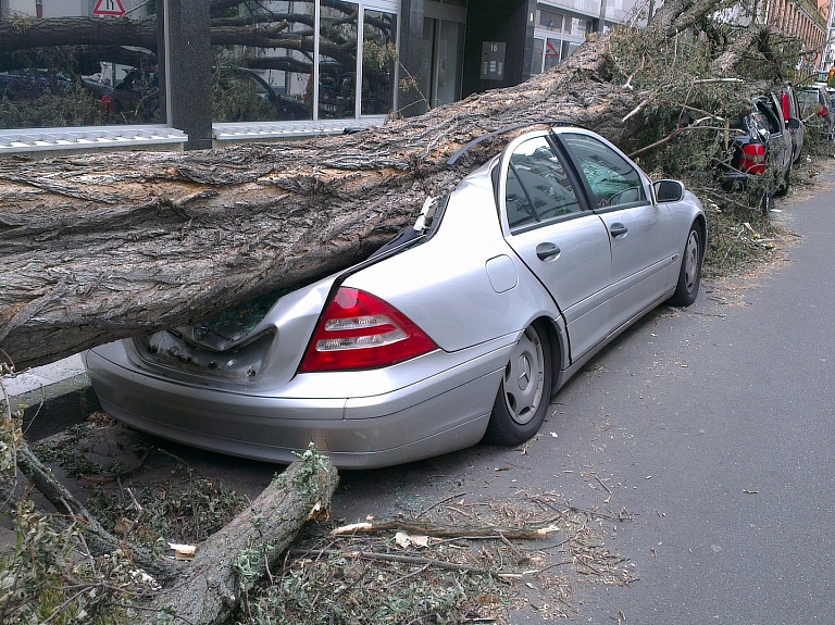 Pļaviņās vēja nolauzts koks uzkrīt automašīnai ar pasažieri

