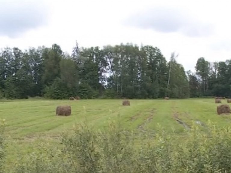 Zemniekus Līvānu novadā uztrauc lielais mitrums

