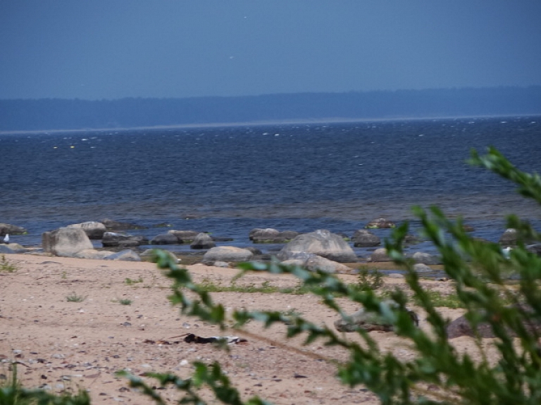 Tīrākās pludmales gods šogad piešķirts Abragciemam, piemēslotākās tituls - Daugavgrīvai

