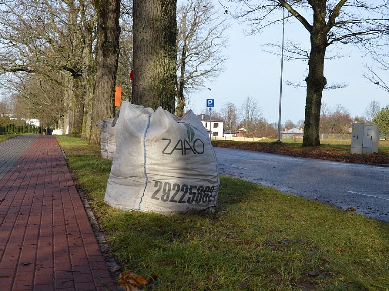 Valmierā sāksies rudens lapu vākšanas akcija