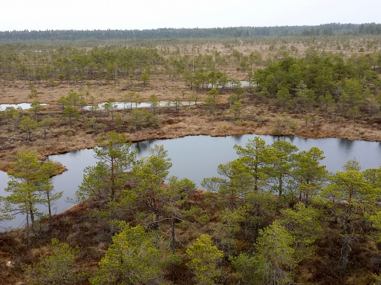 Pētnieki un pārgājienu rīkotāji Jelgavā stāstīs par purviem