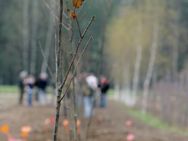 Par godu Daugavpils Universitātes 95 gadu jubilejai Līksnas muižas parkā stādīs ozolus