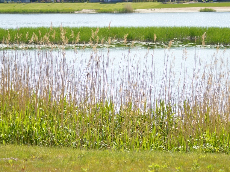 Pilssalā Jelgavā izbūvēs skatu torni