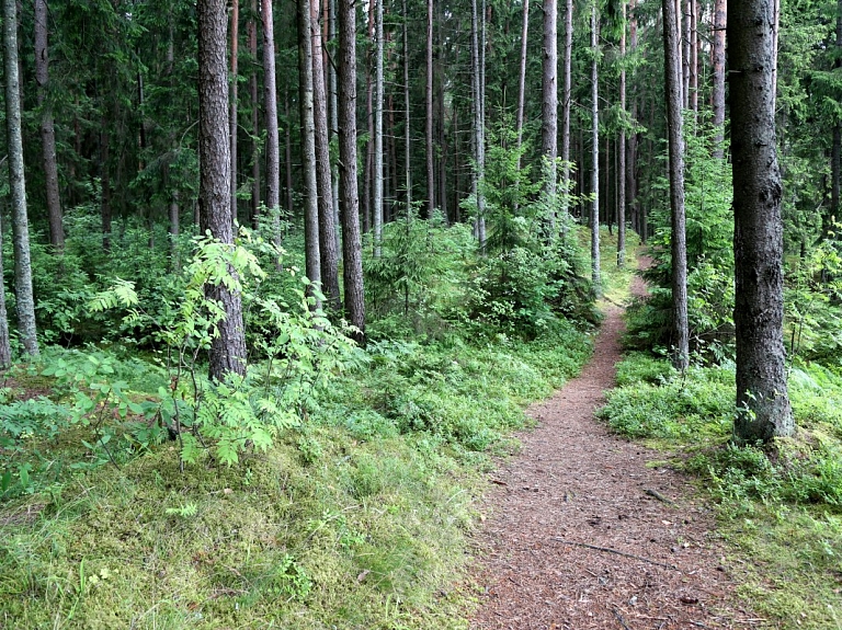 Viesītes novadā veic aptauju par tūrisma pakalpojumu pieejamību