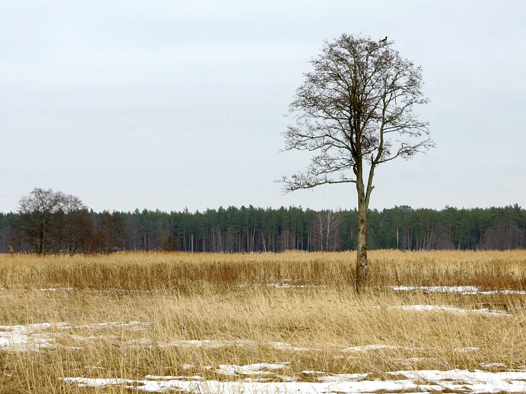 Rīgas dome par pus miljonu eiro plāno sakopt dabas parku "Piejūra"

