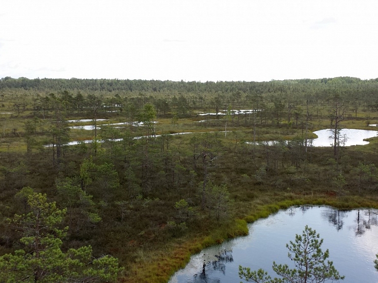 Niedrāju-Pilkas purvā notiks Pasaules mitrāju dienai veltīts pārgājiens