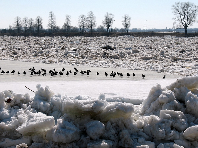 Daugavā pie Daugavpils ūdens līmenis pazeminājies, ledus masa dodas lejup pa upi