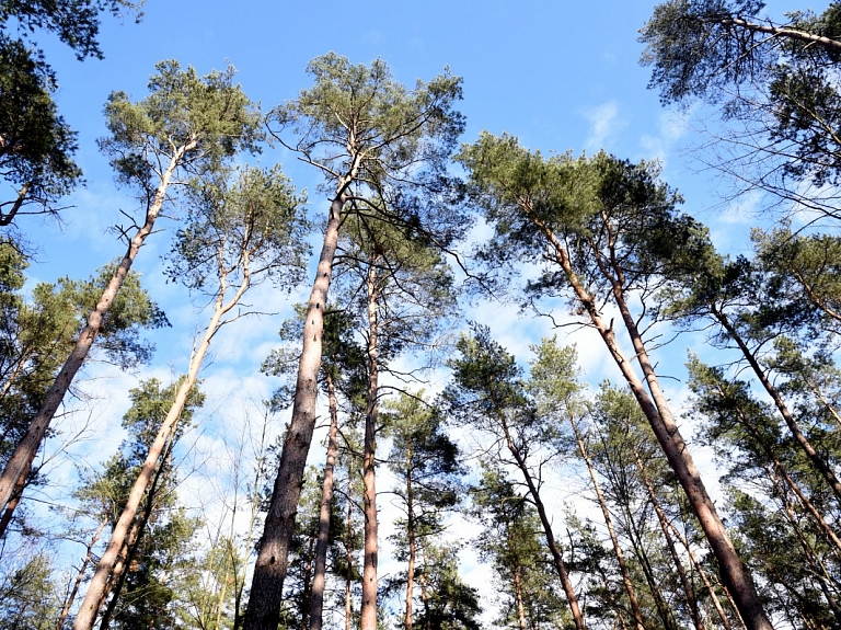 Trešdien gaidāms pārsvarā saulains un vējains laiks