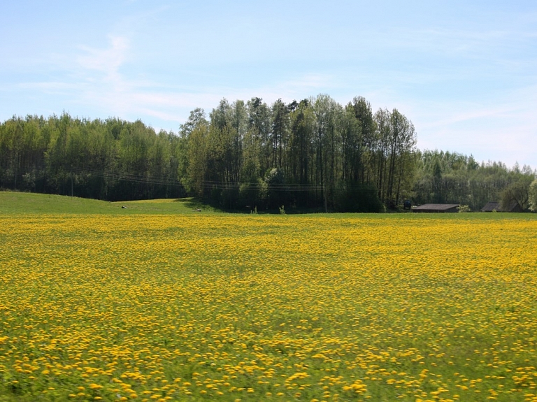 VARAM balvu par ieguldījumu reģiona attīstībā saņēmis SIA "ZAAO"