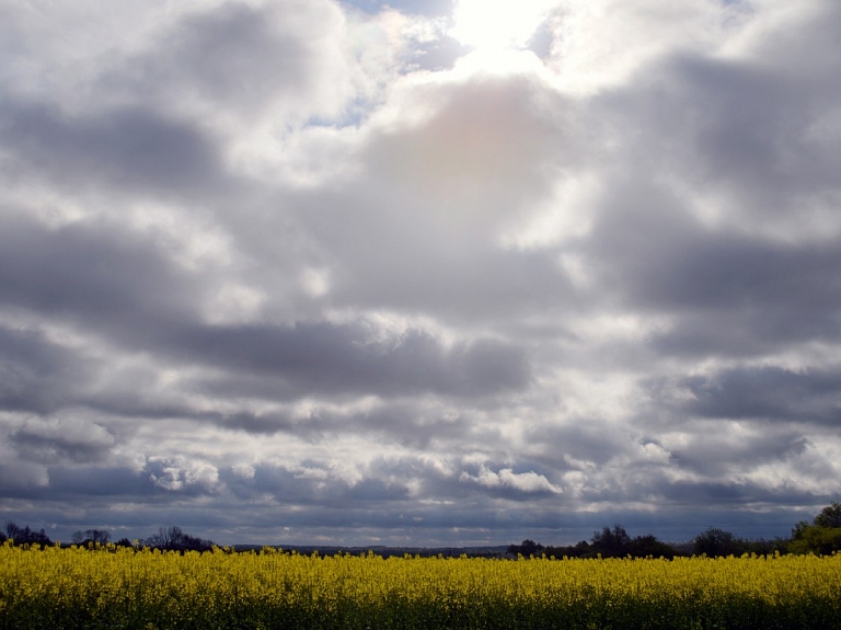 Piektdien mākoņi daļēji klās debesis, gaisa temperatūra nemainīsies