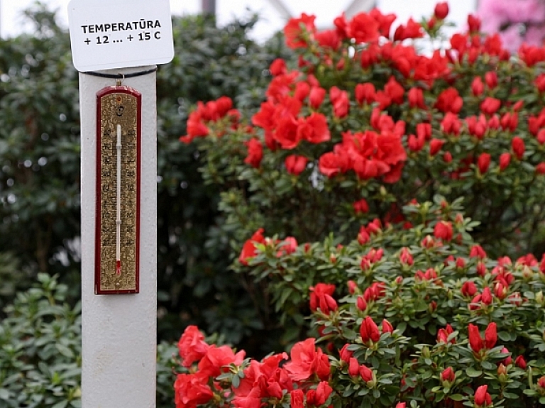 Tuvākajās dienās gaisa temperatūra paaugstināsies