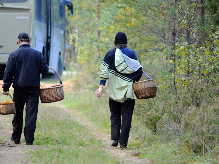 Pēc mežā pavadītas nakts atradusies Ventspils novadā pazudusi ogotāja