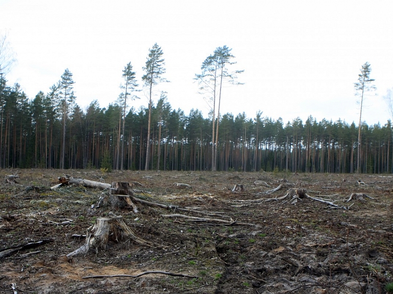 Lietavu dēļ kokapstrādes uzņēmumi Alūksnes novadā apsver iespēju uz laiku pārtraukt darbu