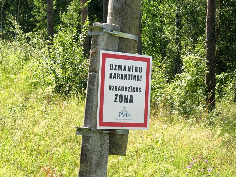 PVD nosaka Āfrikas cūku mēra karantīnu Vārkavas novada Vārkavas pagastā