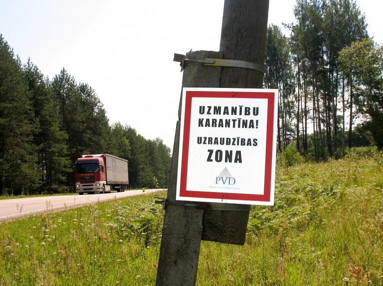 Āfrikas cūku mēris pirmo reizi konstatēts Kuldīgas un Saldus novadā