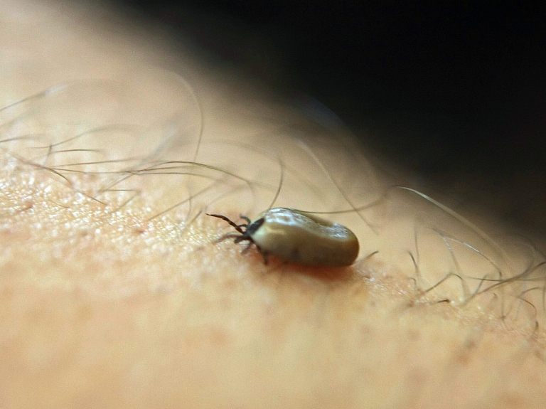 Infektoloģijas centrā nonākuši vēl astoņi pacienti ar ērču encefalītu