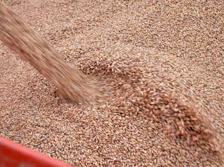 Uzņēmums "Daile Agro" plāno ieguldīt 1,8 miljonus eiro graudu pirmapstrādes kompleksa celtniecībā