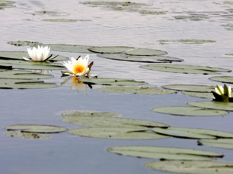 Notiks Rāznas Nacionālā parka desmit gadu jubilejas konference