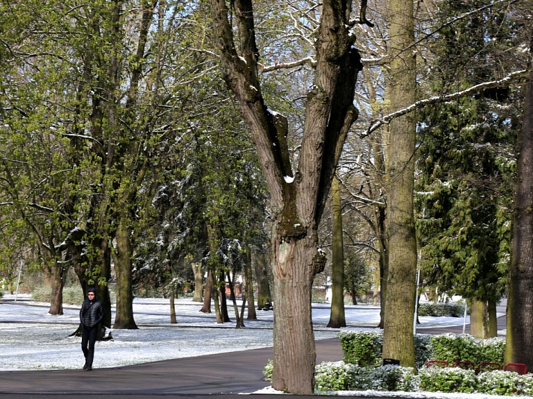 Ventspils novada Tārgalē par 114 360 eiro labiekārtots parks