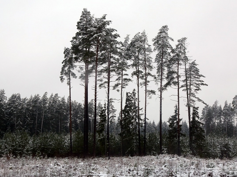 Gada izskaņā kļūs vēsāks, 1.janvārī - siltāks