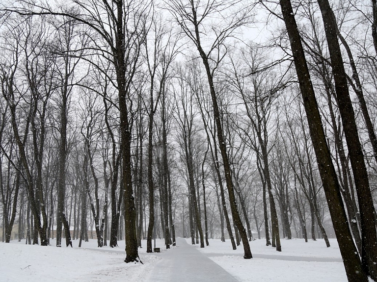 Līdz ar lapenes izbūvi Jaunpils pils parkā plānota arī šūpoļu un solu uzstādīšana