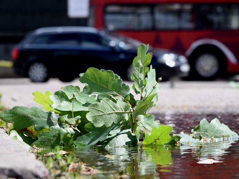 Sestdien saule mīsies ar mākoņiem un pūtīs brāzmains vējš